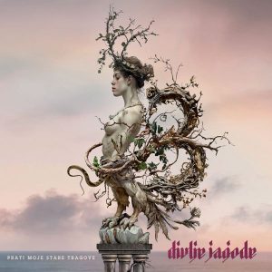 DIVLJE JAGODE – PRATI MOJE STARE TRAGOVE