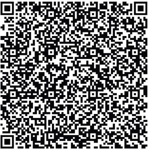 ZVUK ULICE – NIKO NEMA POJMA