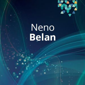 NENO BELAN – ZABAVNE MELODIJE (KNJIGA)